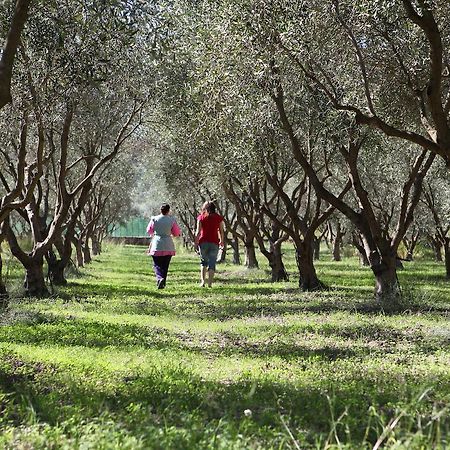 Agriturismo A'Sena-Runcatini Ciminà Eksteriør bilde