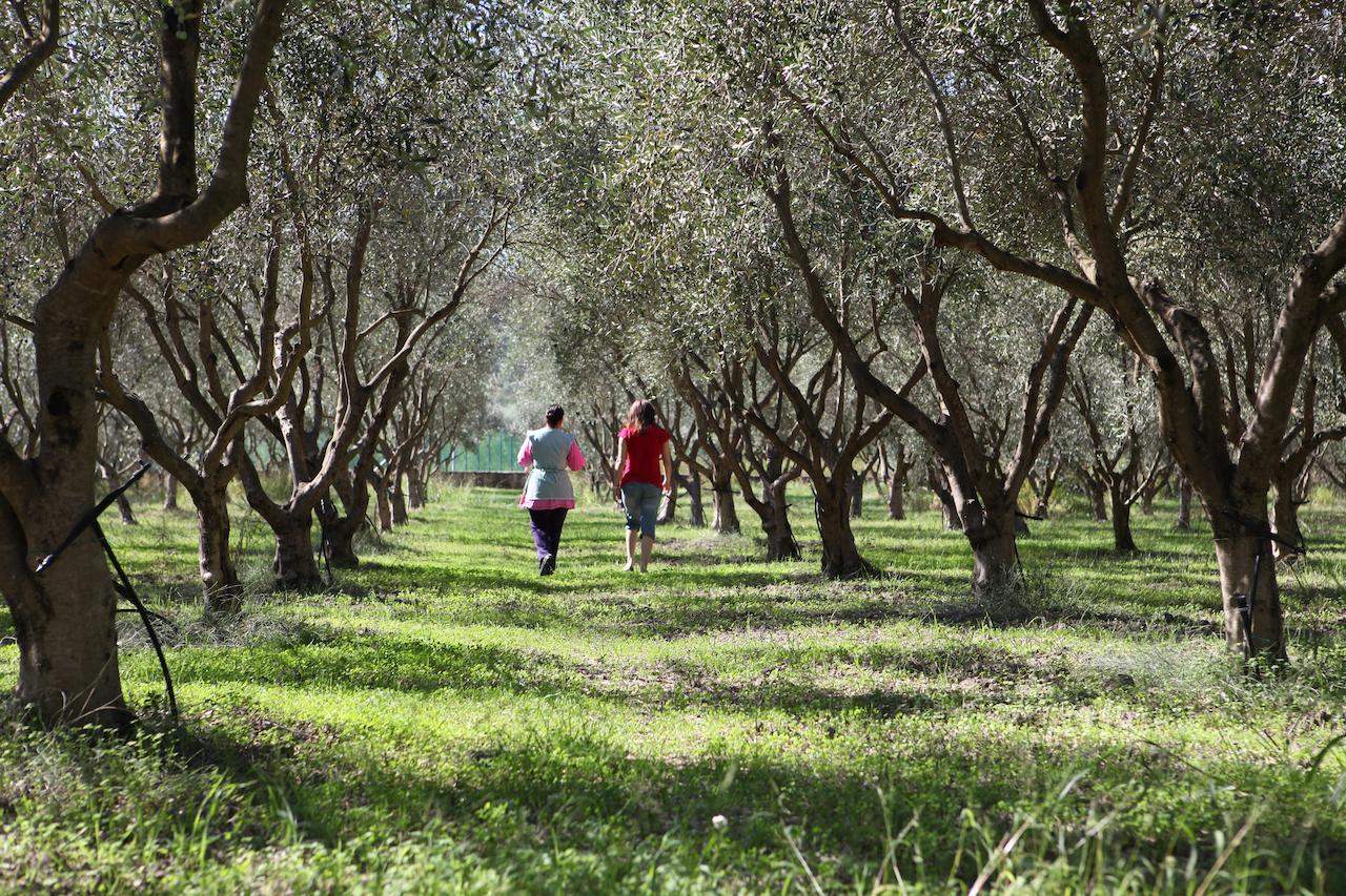 Agriturismo A'Sena-Runcatini Ciminà Eksteriør bilde
